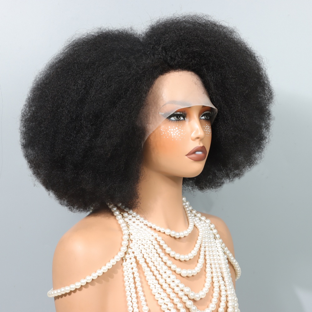 14 Inch Afro Wigs for Black Wo - Women'S Shoes Bobs review and price