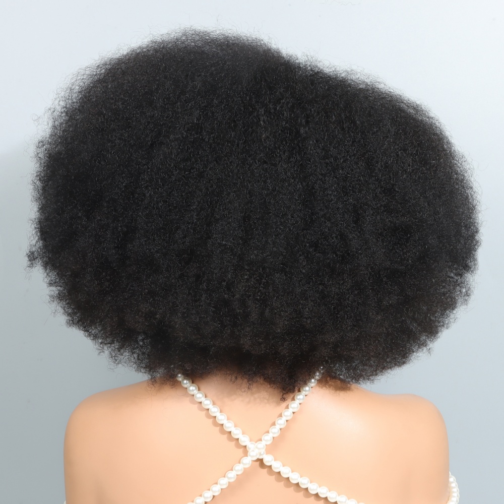14 Inch Afro Wigs for Black Wo - Women'S Shoes Bobs review and price